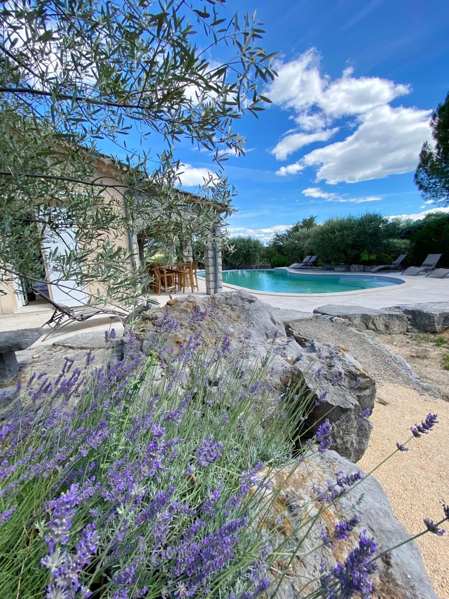 Maison Pour 12P, Piscine A Debordement Chauffee D'Avril A Octobre Inclus Ruoms Zewnętrze zdjęcie